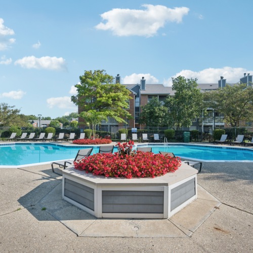 Sparkling swimming pool